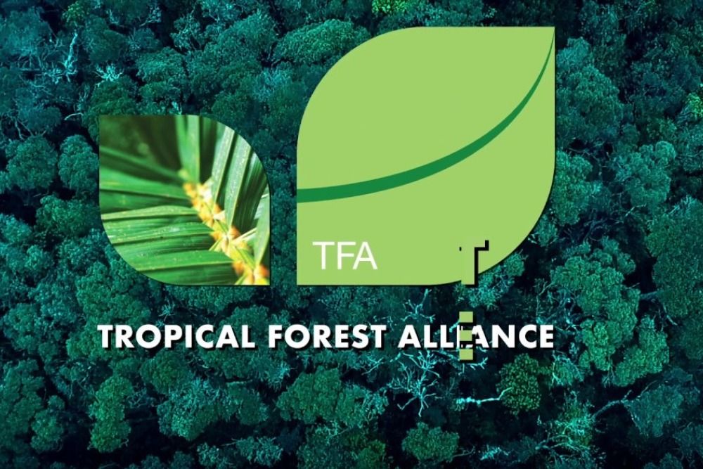 Get Involved with FACT Dialogue