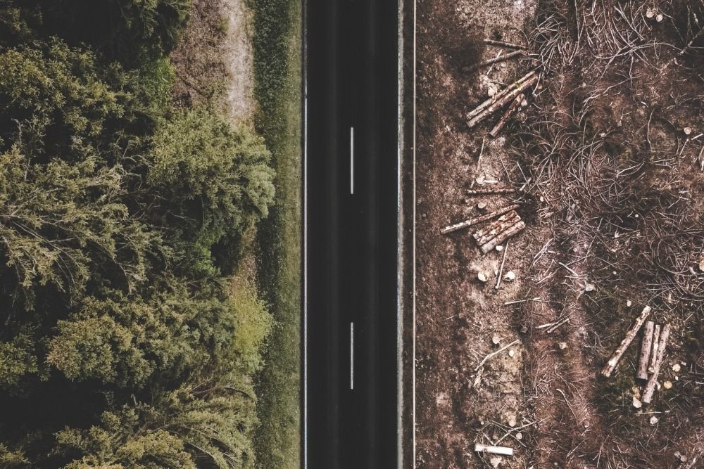 World Resources Institute: Global Forest Review