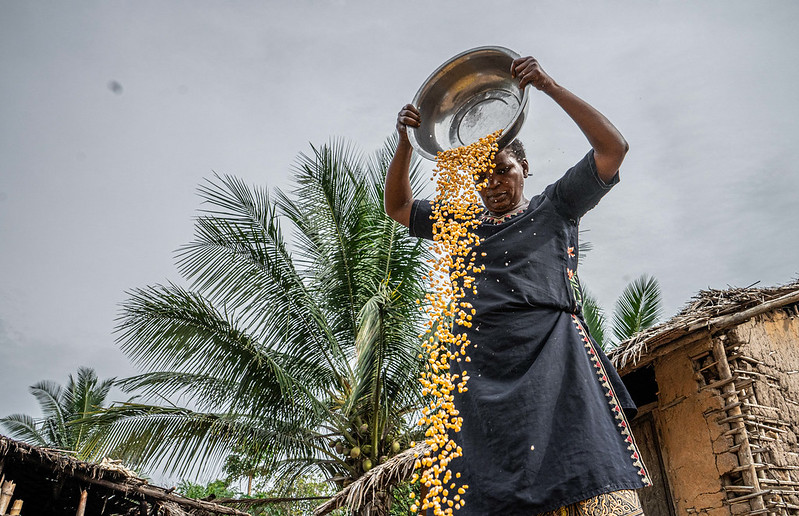 FACT Dialogue Progress Report 2022