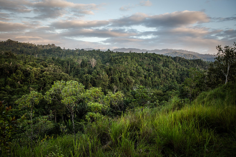 FACT Dialogue Newsletter | Edition 1