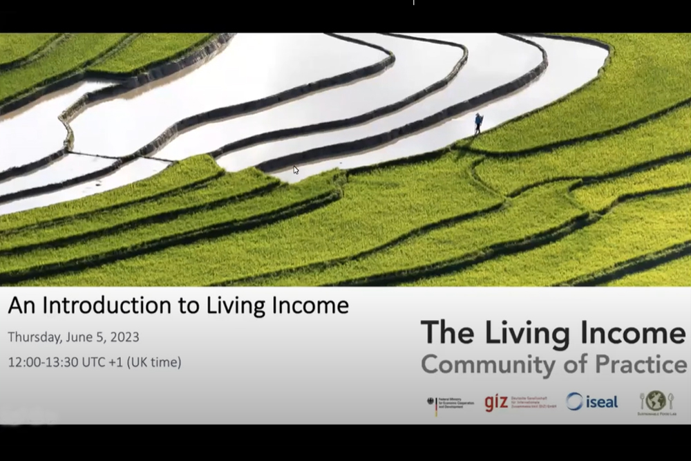 FACT Smallholder Seminar on Achieving a Living Income for Farmers