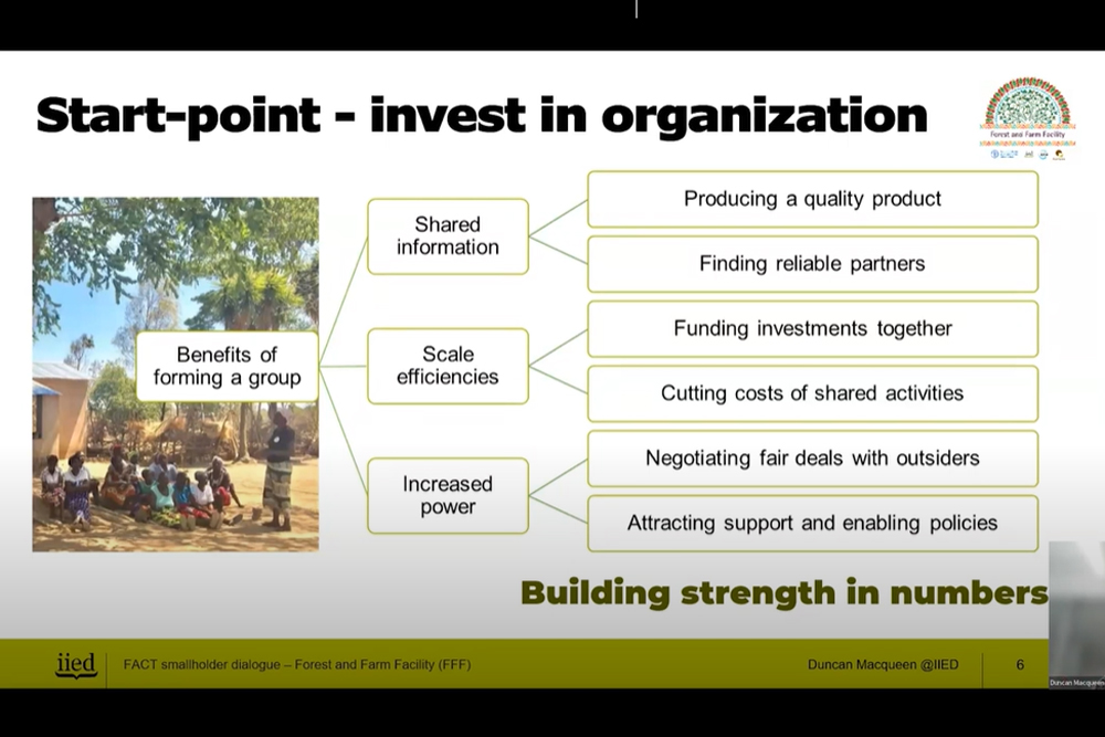 FACT Smallholder Seminar on Strengthening Smallholder Organizations and Professionalisation