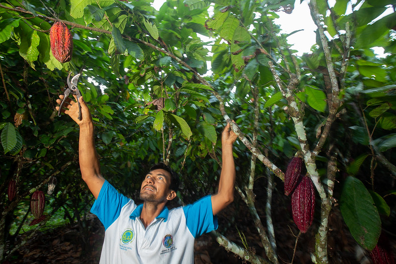 FACT Dialogue Progress Report 2025