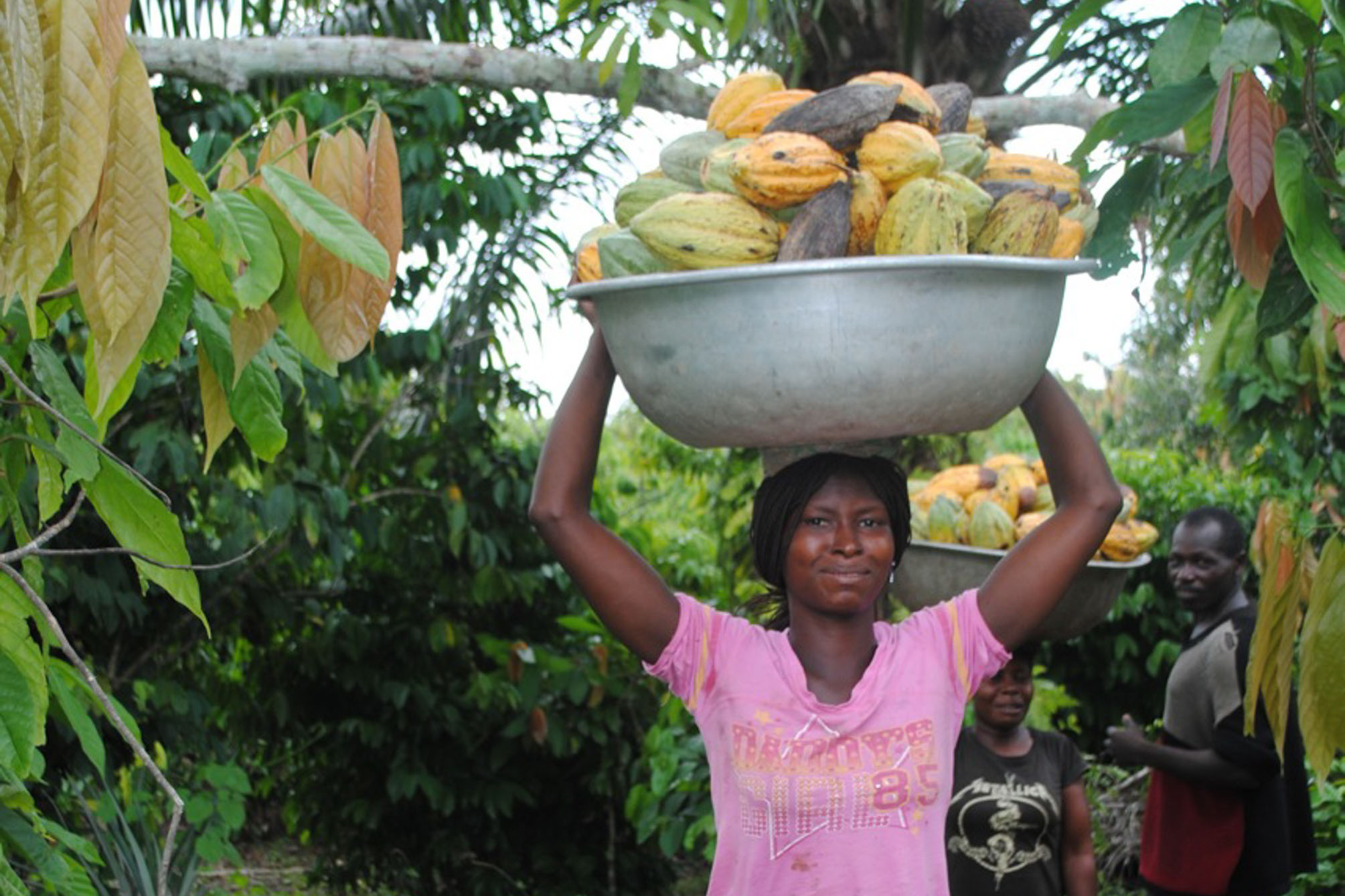 FODECC in Cameroon: Best Practices for Smallholder Inclusion