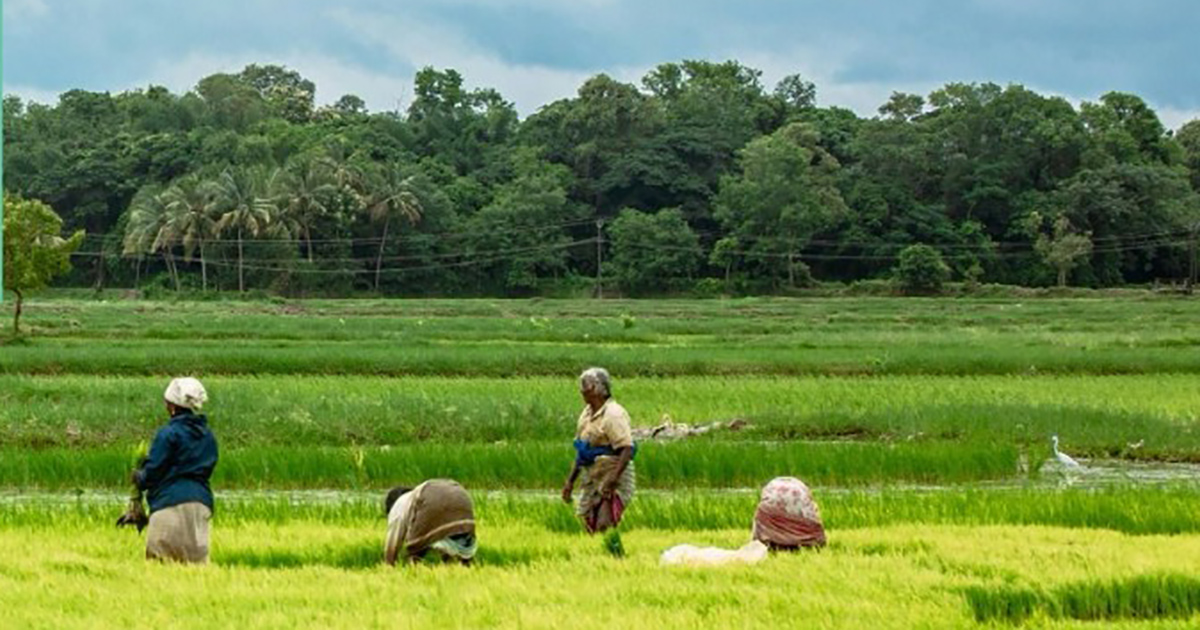 Fostering International Cooperation on Trade, Sustainable Agriculture, and Deforestation: The Importance of Smallholder Inclusion in Sustainable Agri-Food Chains