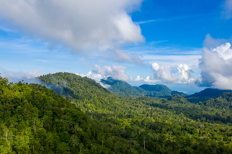 Building Demand for Sustainable Commodities: The UK Sustainable Commodities Initiative