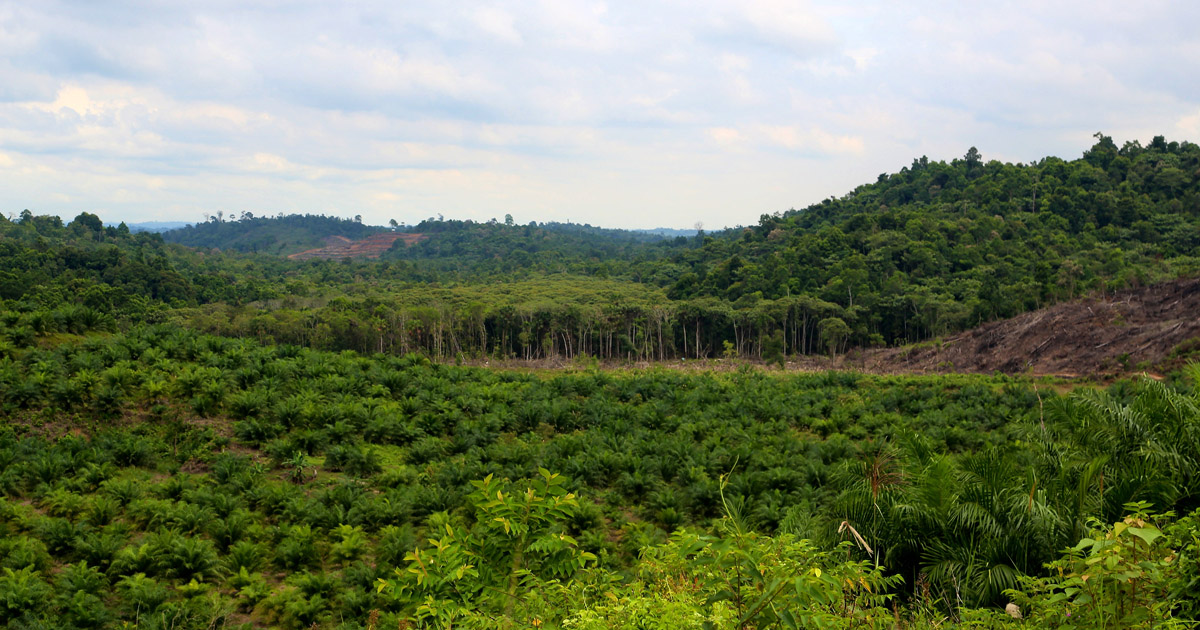 National Assurance Schemes and Market Recognition: Opportunities and Learnings