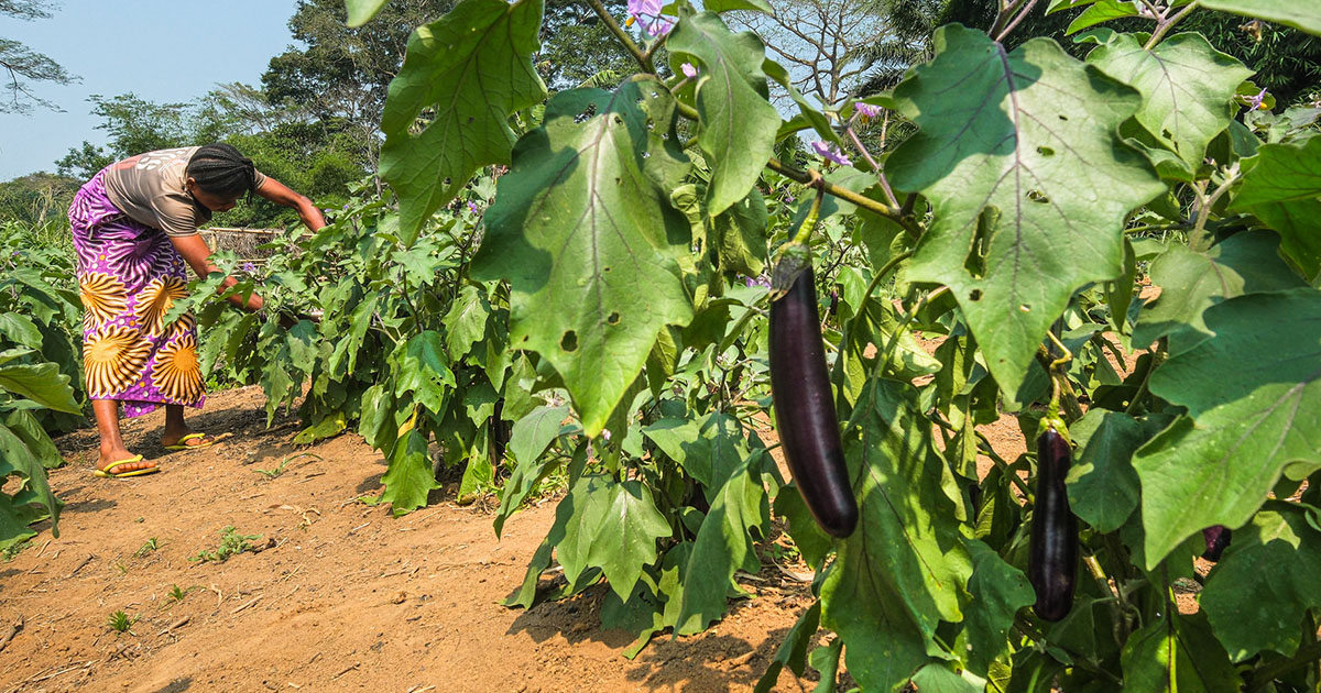 Traceability & Transparency Closed-door Online Consultation