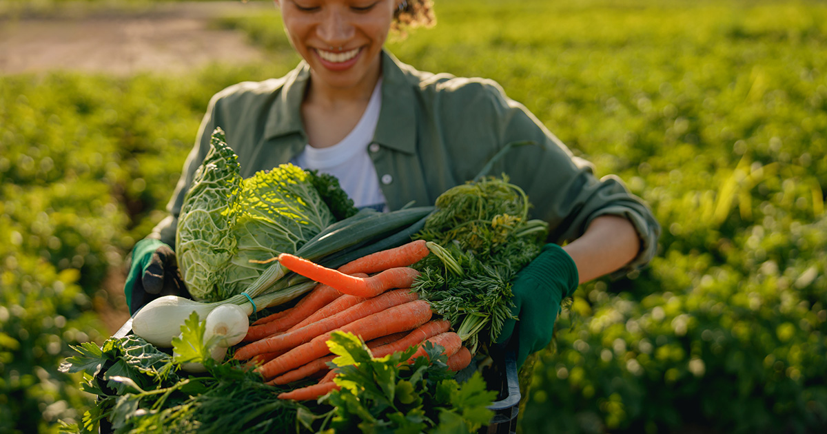 Tropentag Conference Workshop Participation